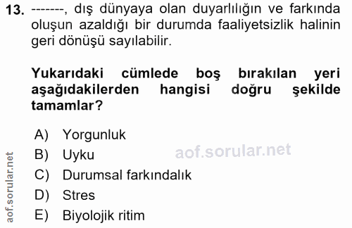 Soru 13
