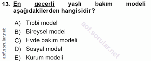 Soru 13