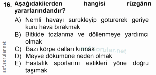 Soru 16