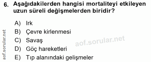 Soru 6