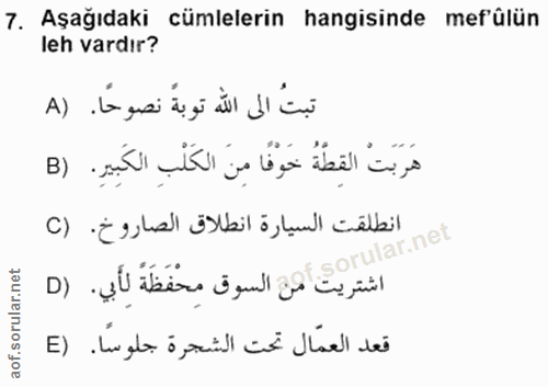 Soru 7