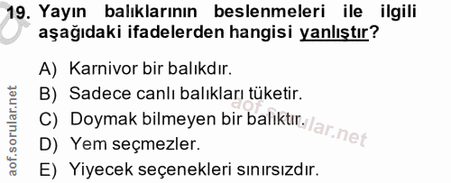 Soru 19