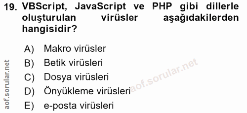 Soru 19