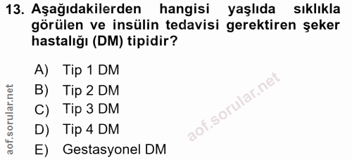 Soru 13