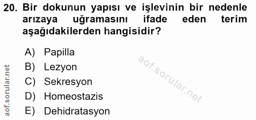 Soru 20