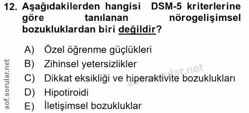 Soru 12