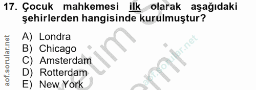 Soru 17