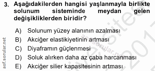 Soru 3