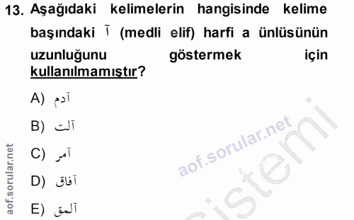 Soru 13