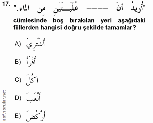 Soru 17