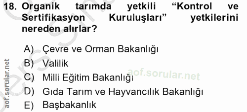 Soru 18