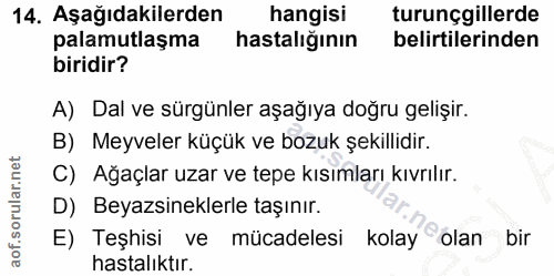 Soru 14