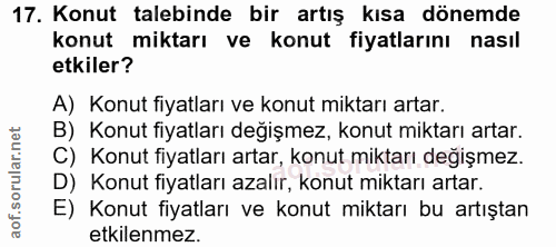 Soru 17