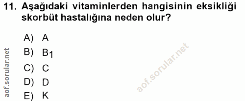 Soru 11