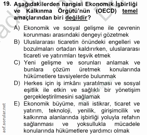 Soru 19