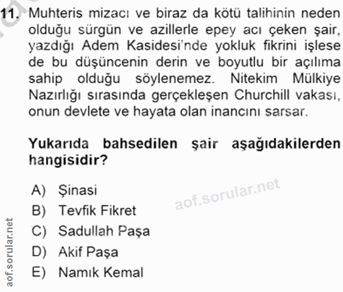 Soru 11