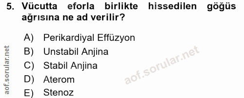 Soru 5
