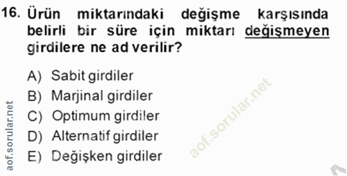 Soru 16