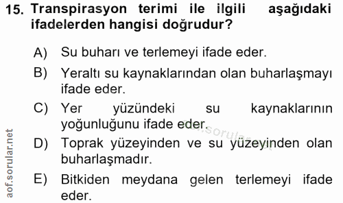 Soru 15