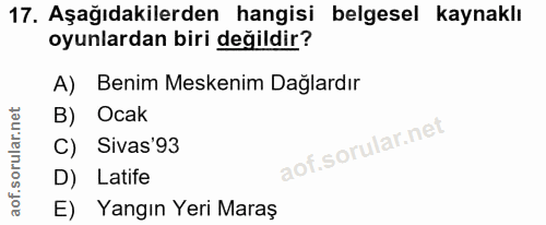 Soru 17