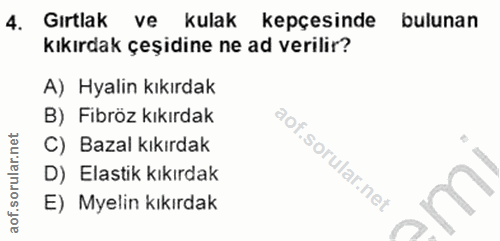 Soru 4