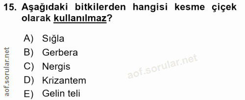 Soru 15