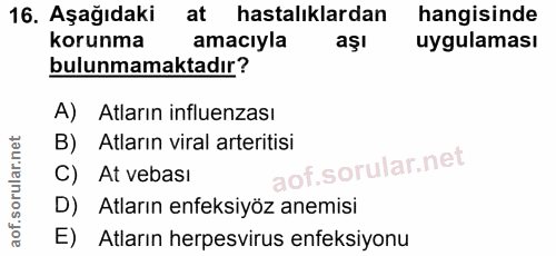 Soru 16