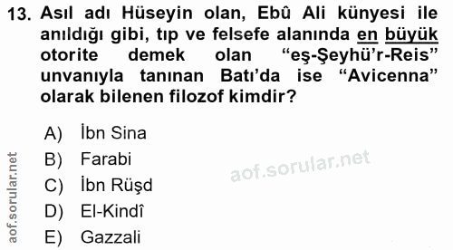 Soru 13