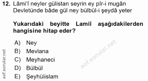 Soru 12