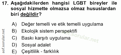Soru 17