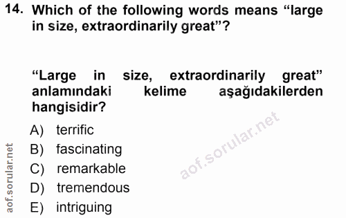 Soru 14