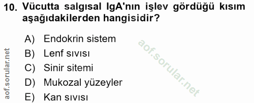 Soru 10