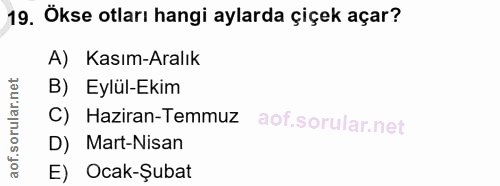 Soru 19