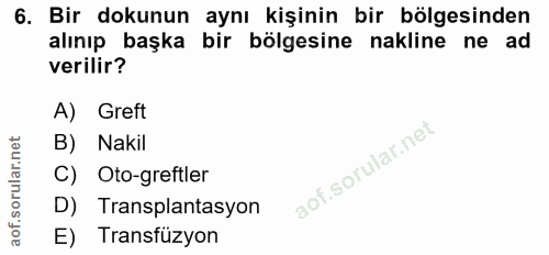 Soru 6