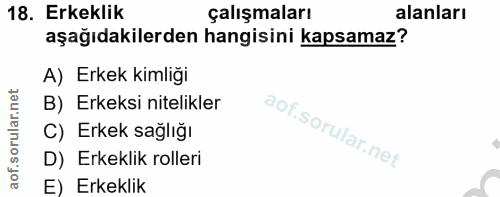 Soru 18