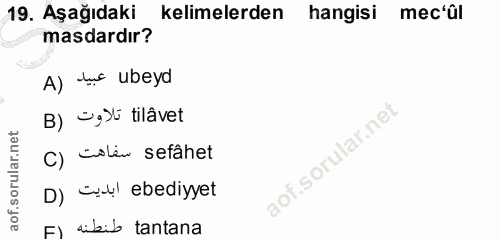 Soru 19