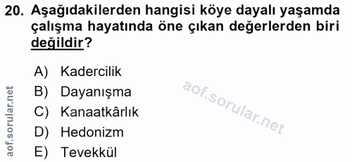 Soru 20