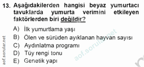 Soru 13