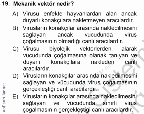 Soru 19