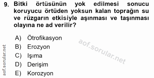 Soru 9
