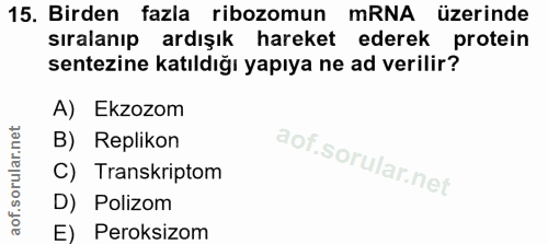 Soru 15