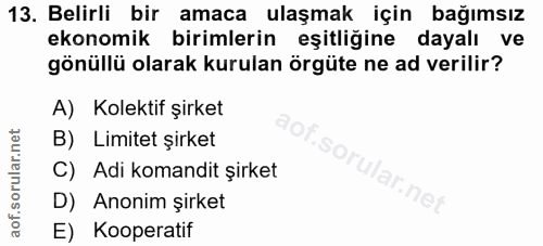 Soru 13