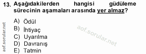 Soru 13