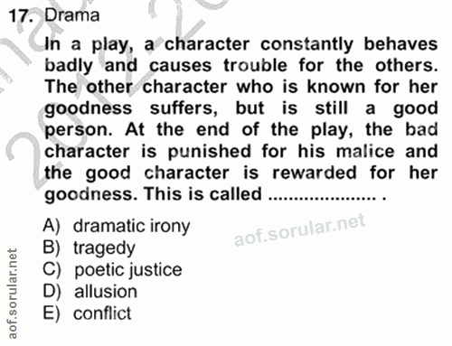 Soru 17