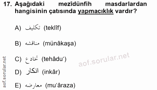 Soru 17