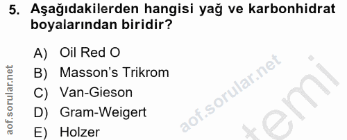 Soru 5
