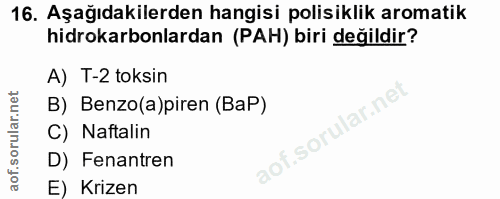 Soru 16