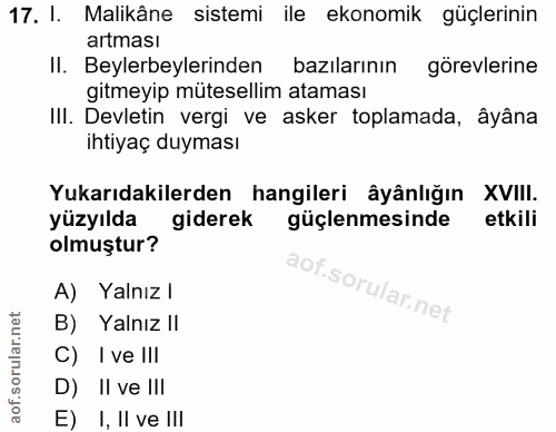 Soru 17