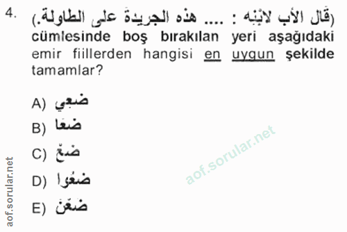 Soru 4