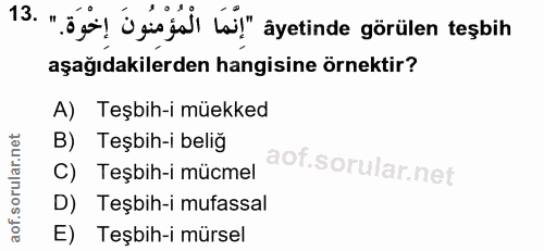 Soru 13